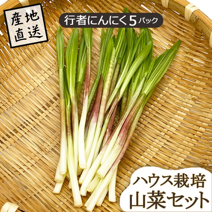 山菜、行者ニンニクの種15000粒。 限定10個！ 15日採取 行者にんにく 300g