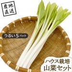   뤤 5ѥå ϥ ľΤ¾ʤƱԲ