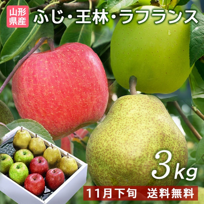 お歳暮 フルーツ 山形 ラフランス ＆ 富士りんご & 王林 約3kg 詰め合わせセット<BR>送料無料【北海道、中国、四国、九州、沖縄は送料+500円】11月下旬からの発送予定 帰省暮