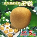 11月上旬頃より発送開始予定  和梨 大玉 山形県庄内酒田市産 刈屋梨 王秋(おうしゅう) 約5kg 玉数おまかせ 生産元直送の為同梱不可 希少な和梨 人気の品種 残暑見舞い 帰省暮|刈屋梨|くだもの