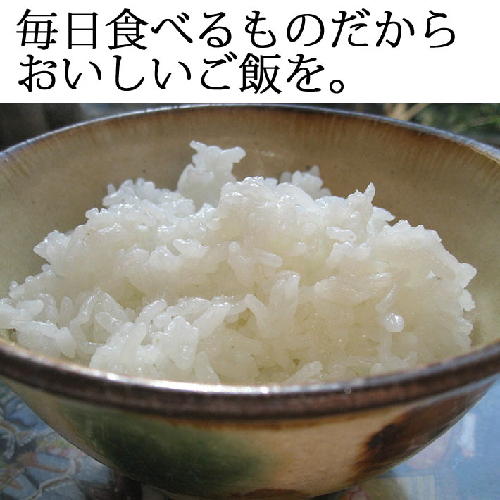 10kg 令和6年産 長期備蓄 無洗米 ひとめぼれ 夢味米 10kg （2kgx5袋