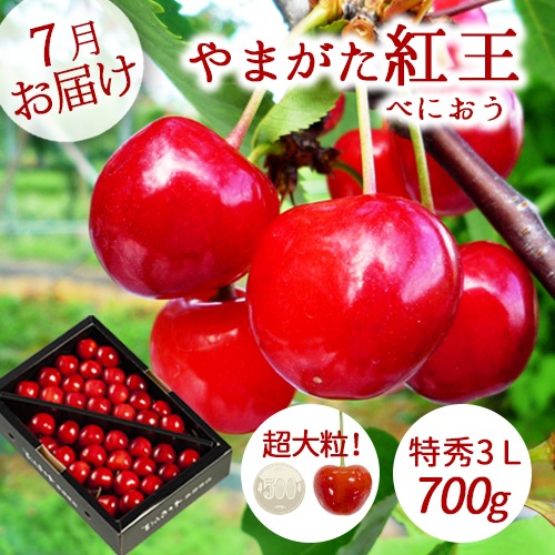 6��ܤ���7���ܤ��Ϥ� �������� ��γ ���ե� �ץ쥼��� ���渵 £���� �Ȳ� ��ޤ����Ȳ� �������� �ý�3L 700g ���ͤ� �������� ����̵��