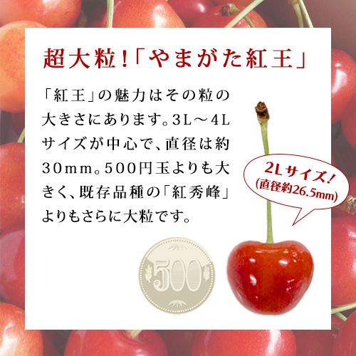 6月下旬から7月上旬お届け さくらんぼ大粒 贈答用 紅王 やまがた