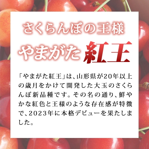7月上旬お届け さくらんぼ 大粒 贈答用 紅王 やまがた紅王 山形県産 特