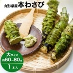 わさび 本わさび 1本 大サイズ 約60〜80g 山形 東根 大富農産 wasabi 山葵 クール便 送料無料|わさび|野菜
