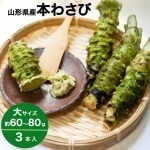 わさび 本わさび 3本 大サイズ 約60〜80g 山形 東根 大富農産 wasabi 山葵 クール便 送料無料|わさび|野菜