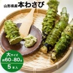 わさび 本わさび 5本 大サイズ 約60〜80g 山形 東根 大富農産 wasabi 山葵 クール便 送料無料|わさび|野菜