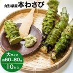わさび 本わさび 10本 大サイズ 約60〜80g 山形 東根 大富農産 wasabi 山葵 クール便 送料無料|わさび|野菜
