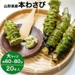 わさび 本わさび 20本 大サイズ 約60〜80g 山形 東根 大富農産 wasabi 山葵 クール便 送料無料|わさび|野菜