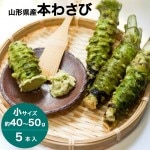 わさび 本わさび 5本 小サイズ 約40〜50g 山形 東根 大富農産 wasabi 山葵 クール便 送料無料|わさび|野菜