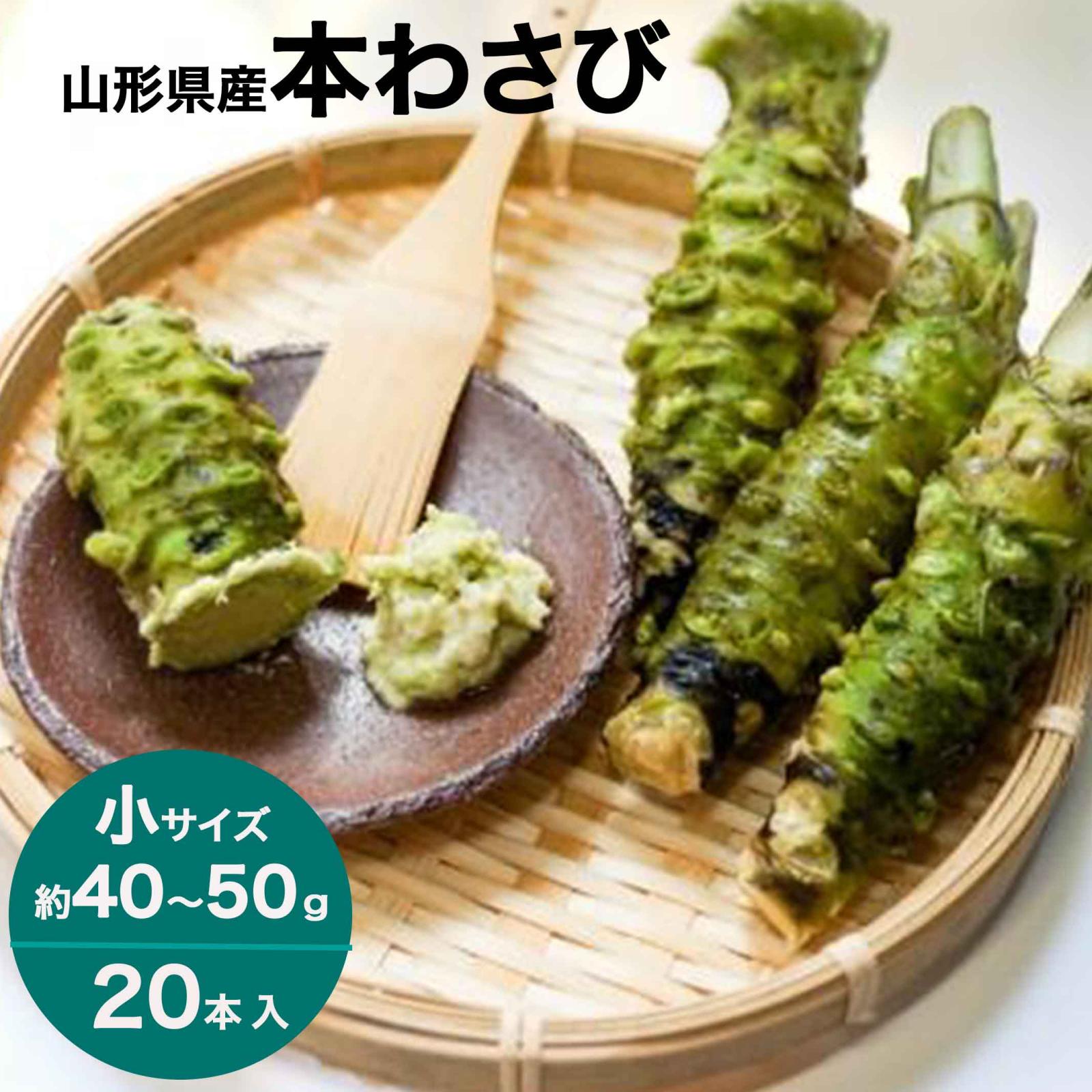 わさび 本わさび 20本 小サイズ 約40～50g 山形 東根 大富農産 wasabi 山葵 クール便 送料無料