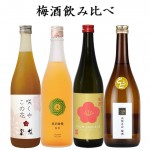 日本酒 飲み比べセット 梅酒 720ml×4本 大山 奥羽自慢 月山酒造 山形正宗 リキュール 送料無料|日本酒セット|日本酒を選ぶお手伝い