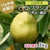 11月中旬発送開始 ラフランス 丸秀 〇秀品 優品 約5kg ラ・フランス サイズ 玉数 お任せ 山形県 天童市産|ラ・フランス|くだもの