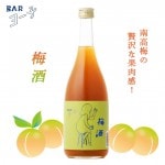 10月22日入荷予定 楯野川 BAR ヨー子 梅酒 720ml 南高梅 梅 ウメ 子宝 リキュール 楯の川酒造 山形 お酒|梅酒・リキュール
