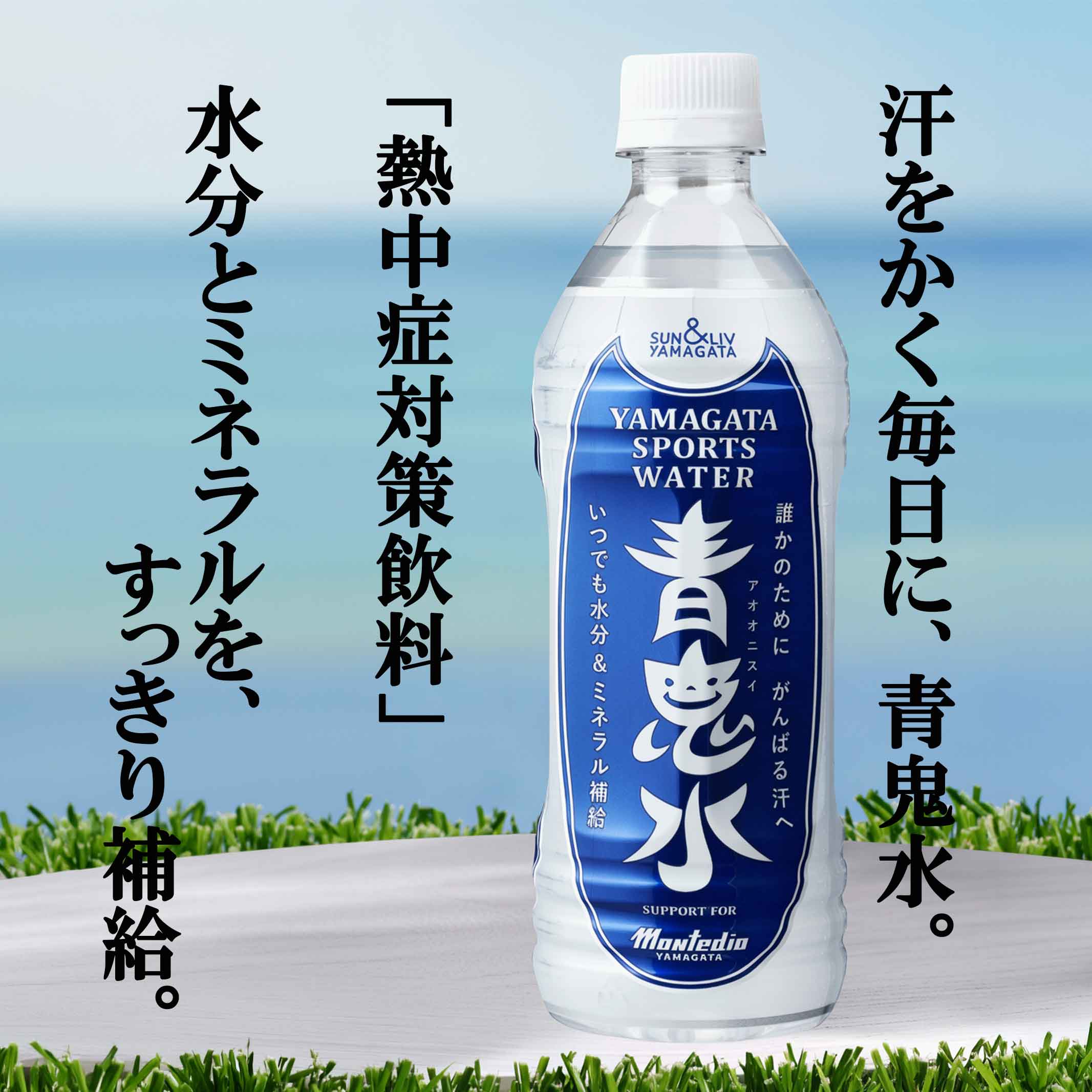 熱中症対策ドリンク 青鬼水 500ml×24本 ペットボトル 清涼飲料水