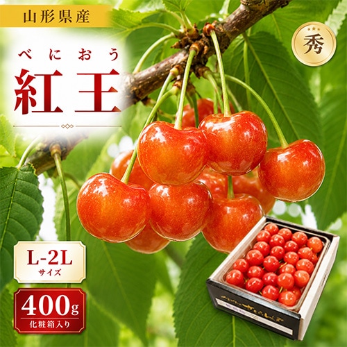くだもの,さくらんぼ | まるごと山形