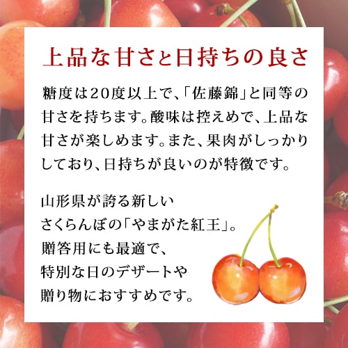 7月上旬～中旬お届け予定 さくらんぼ ギフト プレゼント お中元 贈答用