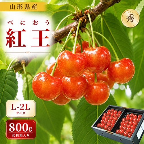 桜＊無言取引○様　確認用 7月上旬～中旬お届け予定 さくらんぼ 大粒 ギフト プレゼント お中元