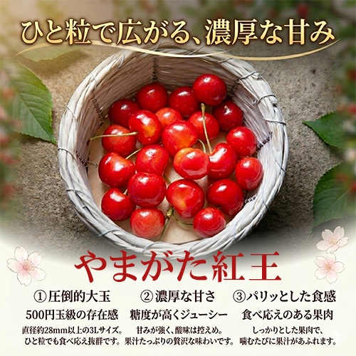 6/20前後発送予定 さくらんぼ やまがた紅王 特秀3L 400g 山形県産