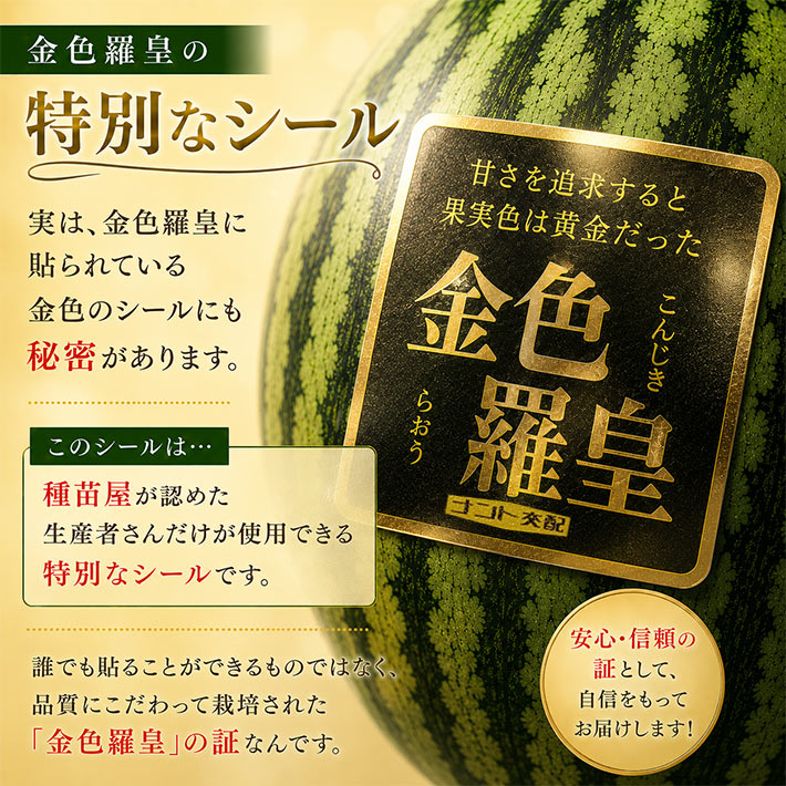 TVで紹介 8月お届け予定 フルーツ スイカ すいか 金色羅皇 尾花沢 3L