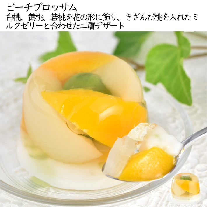 ե ץ쥼 ꡼ ե롼ĥ꡼ 9ĥå Ϥե  Ȣ