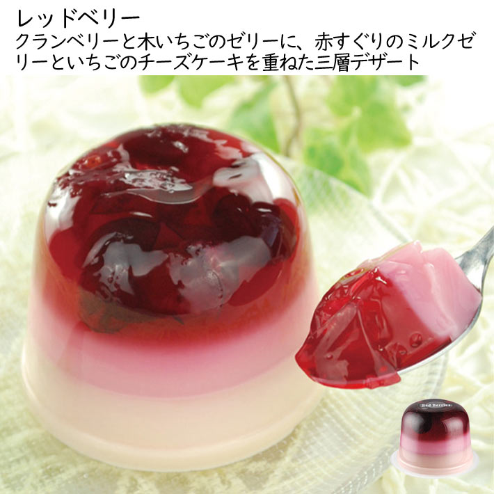 ե ץ쥼 ꡼ ե롼ĥ꡼ 9ĥå Ϥե  Ȣ