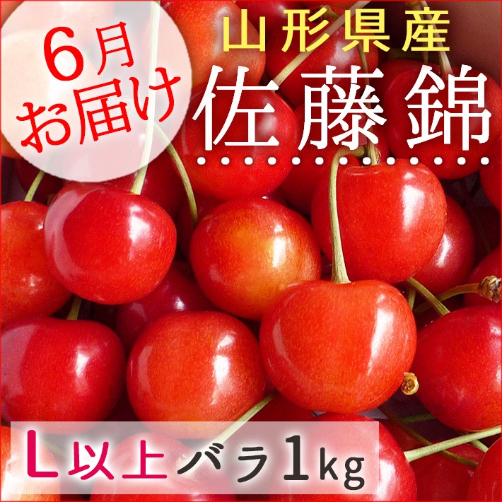 佐藤錦 さくらんぼ 1kg バラ詰め 予約 山形県産さくらんぼ佐藤錦1kgバラ詰Lサイズ以上