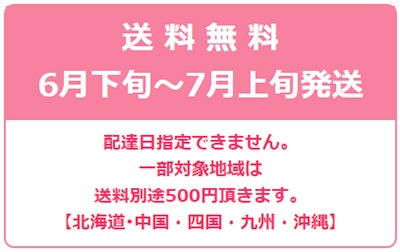 6����ܡ�6���������Ϥ� �������� ��ƣ�� �������� �ý�L��LL��500g ��ͤ� ����̵��