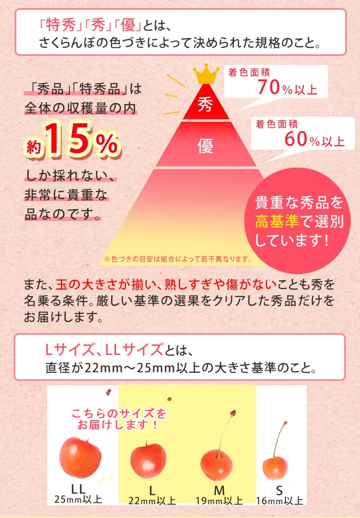 6����ܡ�6���������Ϥ� �������� ��ƣ�� �������� �ý�L��LL��500g ��ͤ� ����̵��