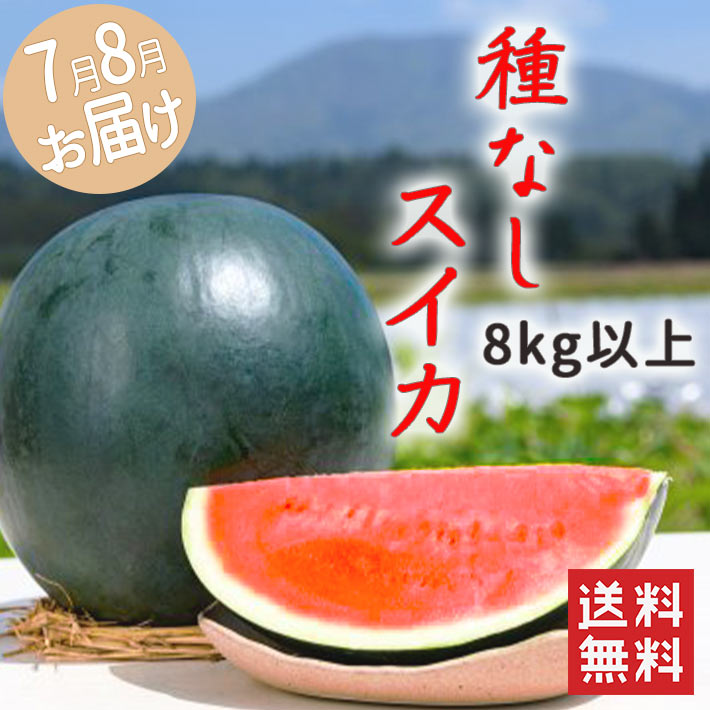 7月下旬～8月上旬発送 種無しスイカ ブラックジャック 山形県産 1玉8kg