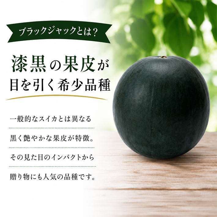 7月下旬～8月上旬発送 種無しスイカ すいか ブラックジャック 山形県産