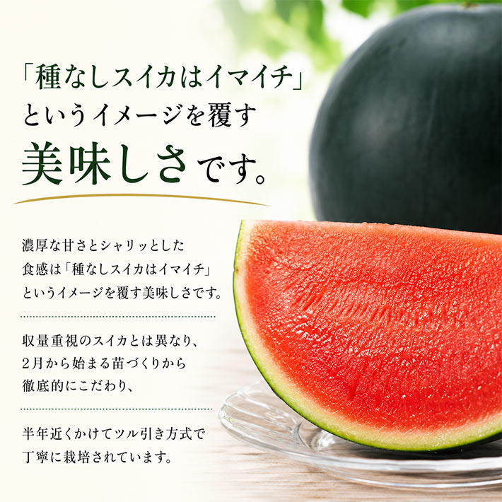 7月下旬～8月上旬発送 種無しスイカ すいか ブラックジャック 山形県産