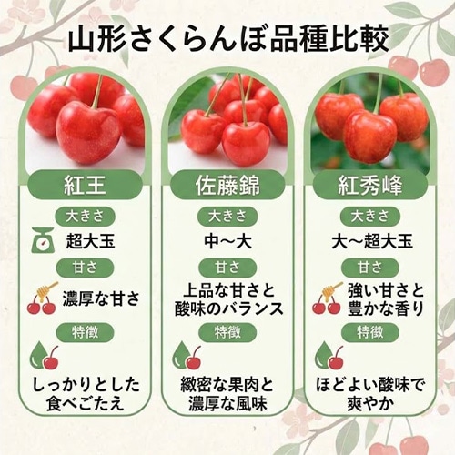 794690発送予定 さくらんぼ お中元 ギフト 山形県寒河江市幸生高原産