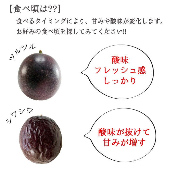   ѥåե롼 M&#12316;L 10&#12316;121kg(̿ޤ) 8&#12316;9ȯ