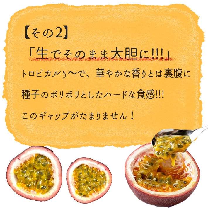   ѥåե롼 M&#12316;L 10&#12316;121kg(̿ޤ) 8&#12316;9ȯ