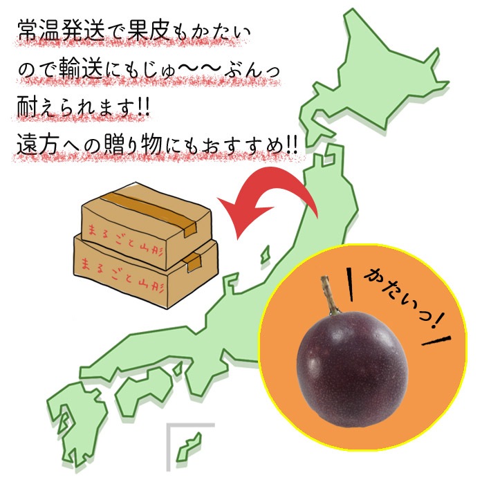   ѥåե롼 M&#12316;L 10&#12316;121kg(̿ޤ) 8&#12316;9ȯ