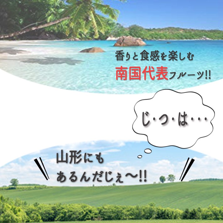   ѥåե롼 M&#12316;L 10&#12316;121kg(̿ޤ) 8&#12316;9ȯ