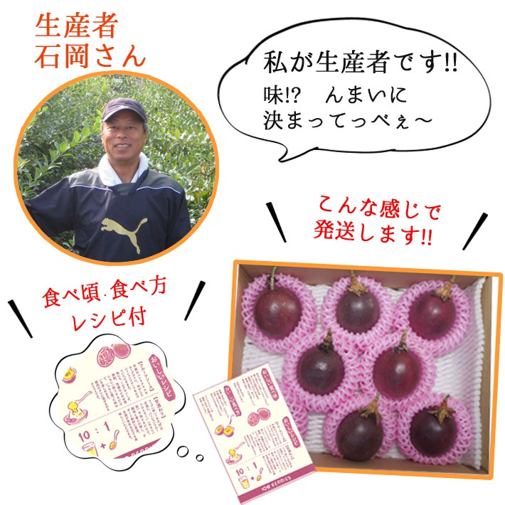   ѥåե롼 M&#12316;L 10&#12316;121kg(̿ޤ) 8&#12316;9ȯ