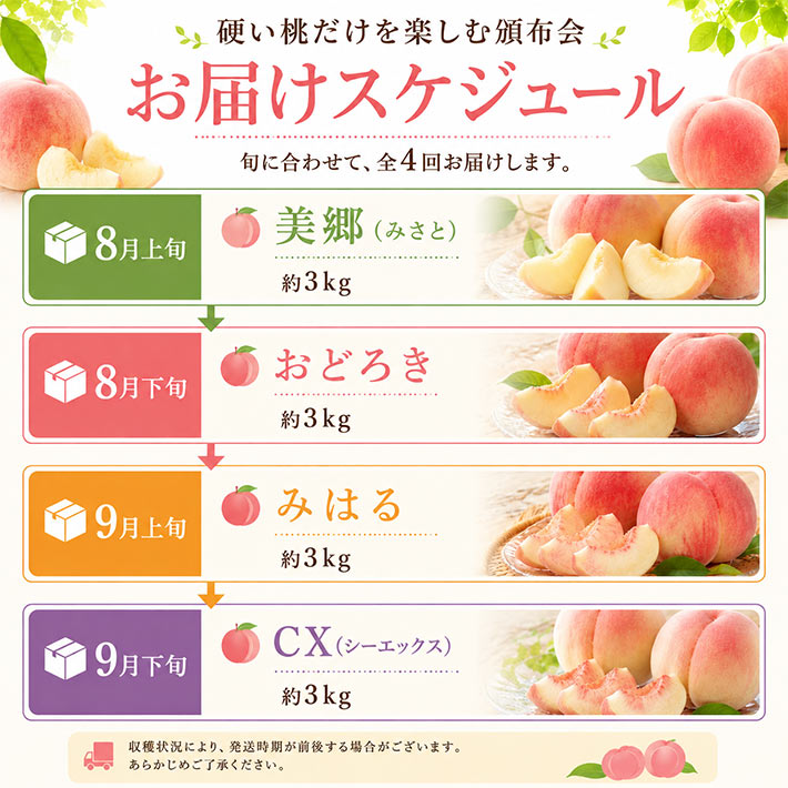 8～9月お届け かたい桃 硬い桃 頒布会 美郷 おどろき みはる CX シー