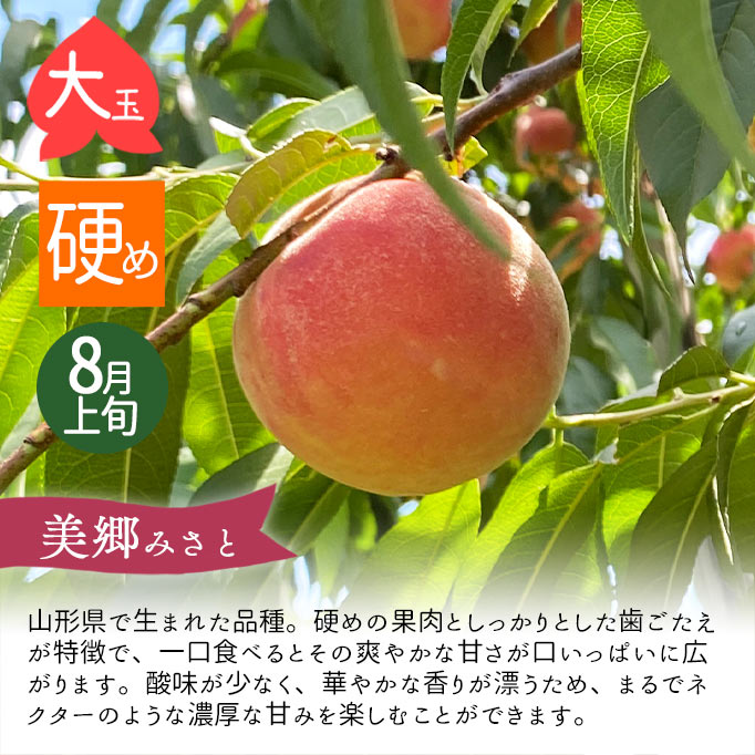 8～9月お届け かたい桃 硬い桃 頒布会 美郷 おどろき みはる CX シー