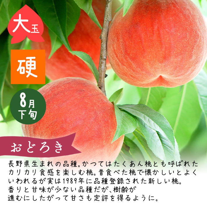8～9月お届け かたい桃 硬い桃 頒布会 美郷 おどろき みはる CX シー