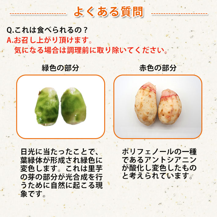 山形風しょうゆ味芋煮セット(4人前)【クール便】【宅配Box不可】【ラッピング不可】【送料無料】
