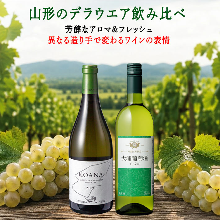ワインセット 白 辛口 御中元 夏ギフト 白ワイン デラウエア 720ml 2本