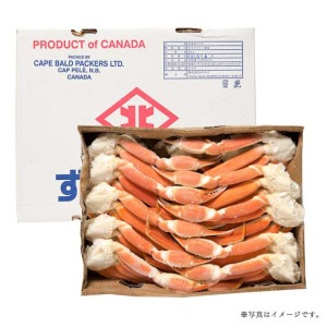 ���ʥ����ܥ��륺�磻���˸� 5kg L