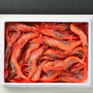 ���ܳ��Ť��ӡ��һ�����(40������)