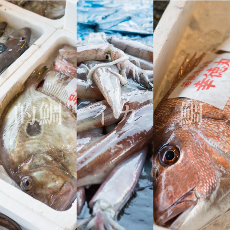 若狭湾で獲れる魚を中心に鮮度が良い状態ですぐにさばき 鮨ネタにしました その鮮度を リキッドフリーザー 凍眠 で限りなく生に近い状態で美味しさと共に閉じ込めました ご家庭の冷凍庫で保存も楽々 食べきりサイズの個包装なので面倒な下