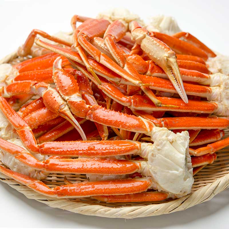 カナダ産ボイルズワイガニ肩 5kg L