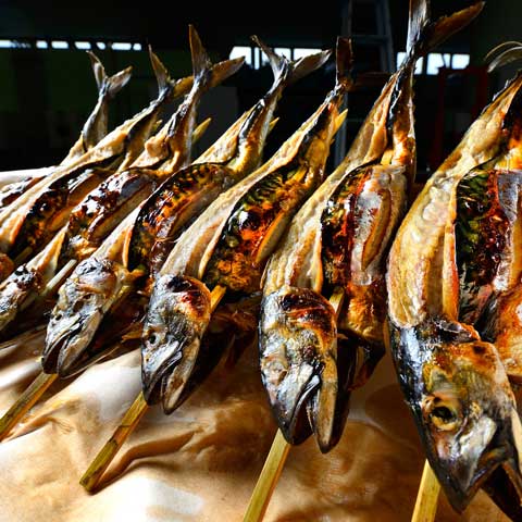 �Υ륦���������;Ƥ�����1��