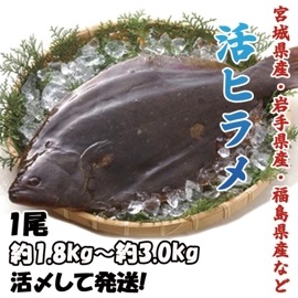 ��ҥ�ᡡ1��