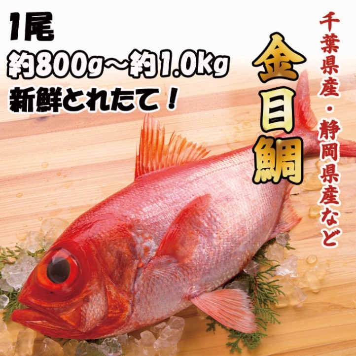 金目鯛　1尾